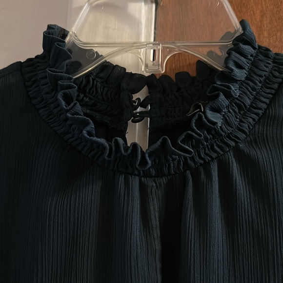 Ann Taylor Ruffle Blouse - Picture 3 of 5